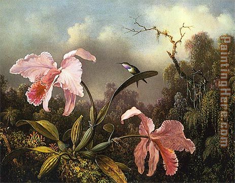 Orchids and Hummingbird 2 painting - Martin Johnson Heade Orchids and Hummingbird 2 art painting